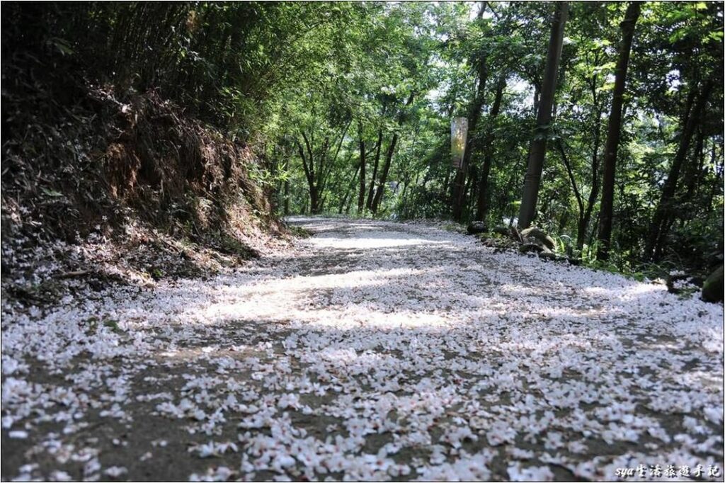 老崎古道