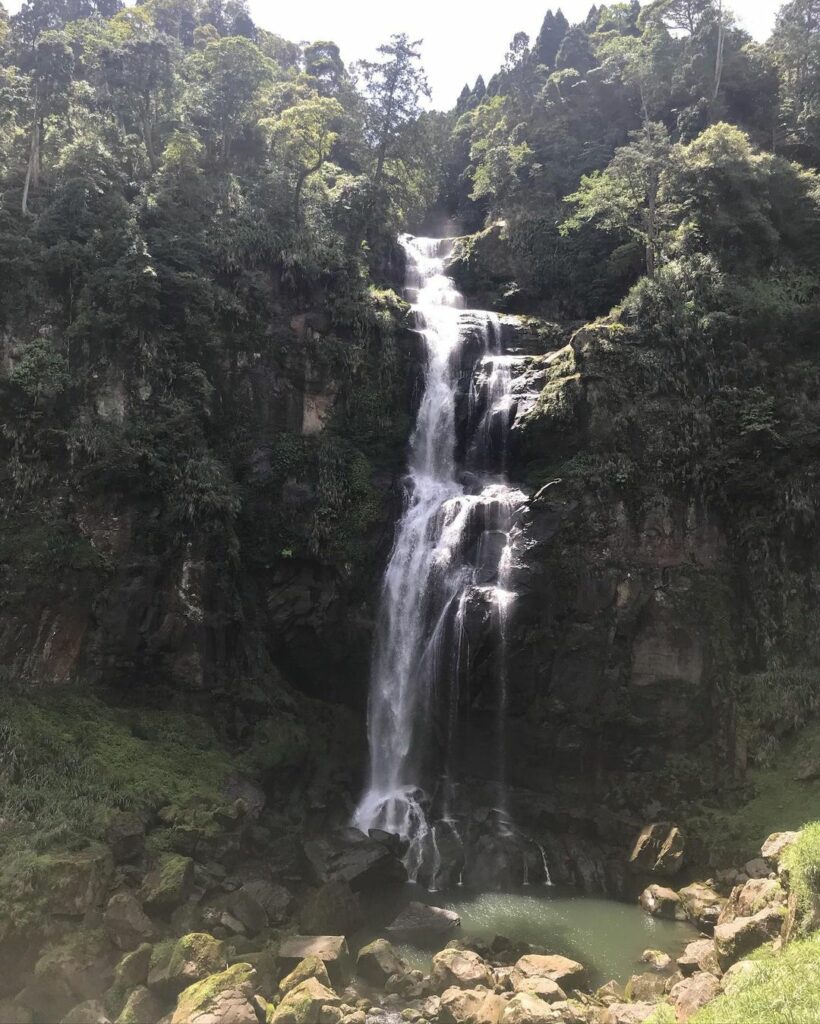 杉林溪越嶺古道