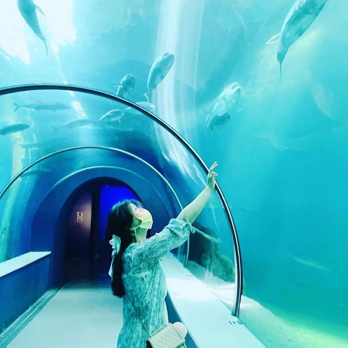 澎湖水族館