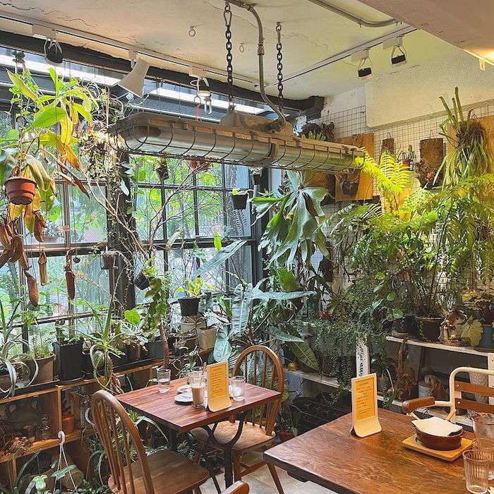 小青苑 Cyan Cafe