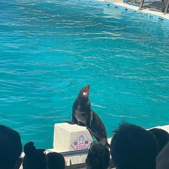 野柳海洋世界