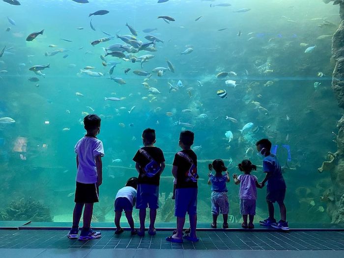 澎湖水族館