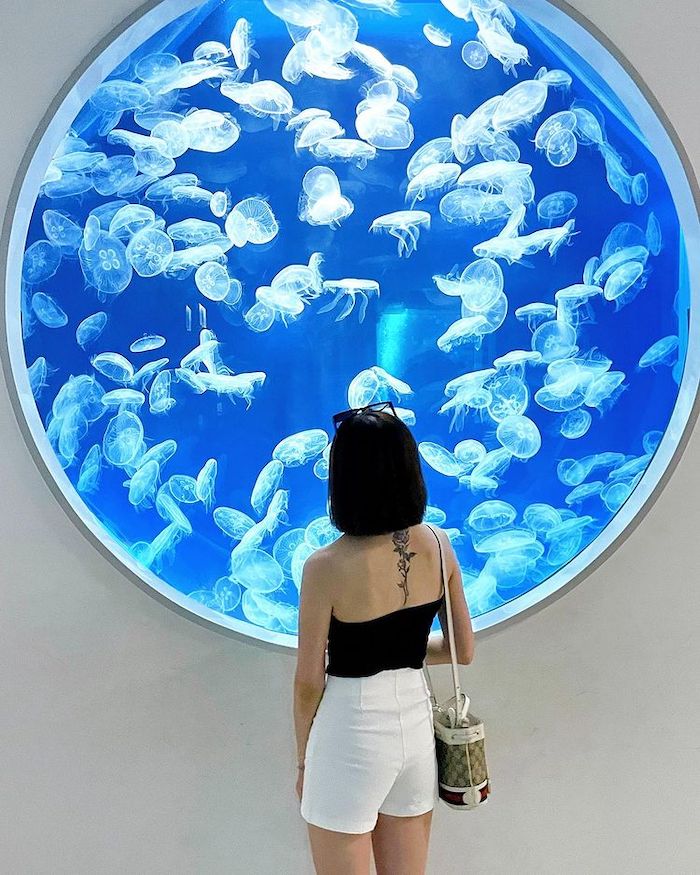XPARK水族館