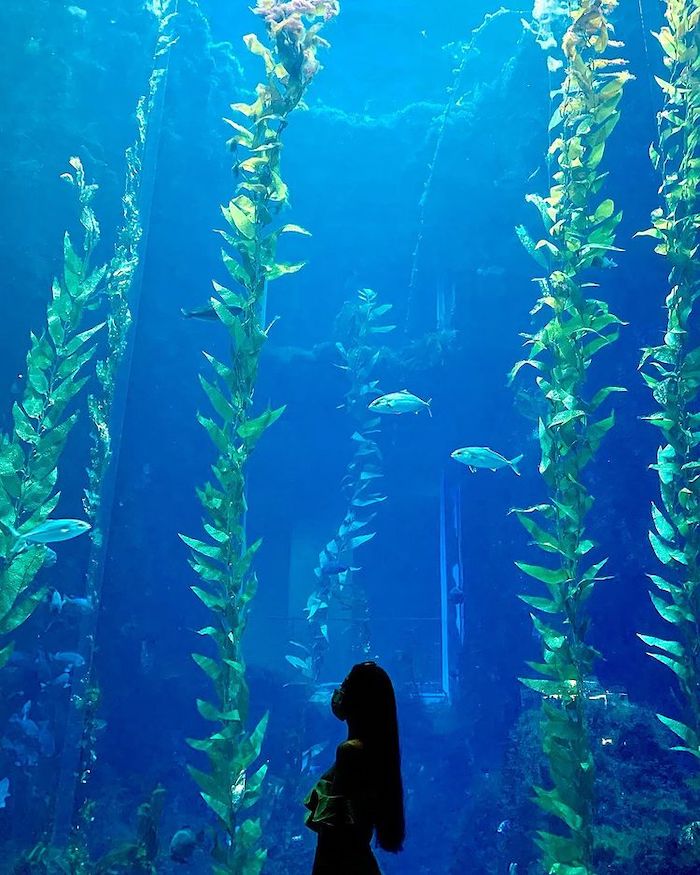 屏東國立海洋生物博物館