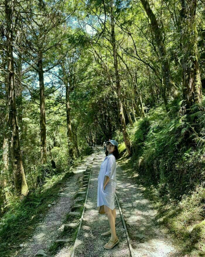 見晴懷古道