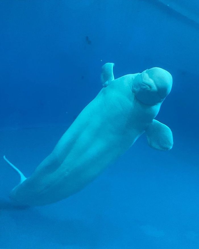 屏東國立海洋生物博物館