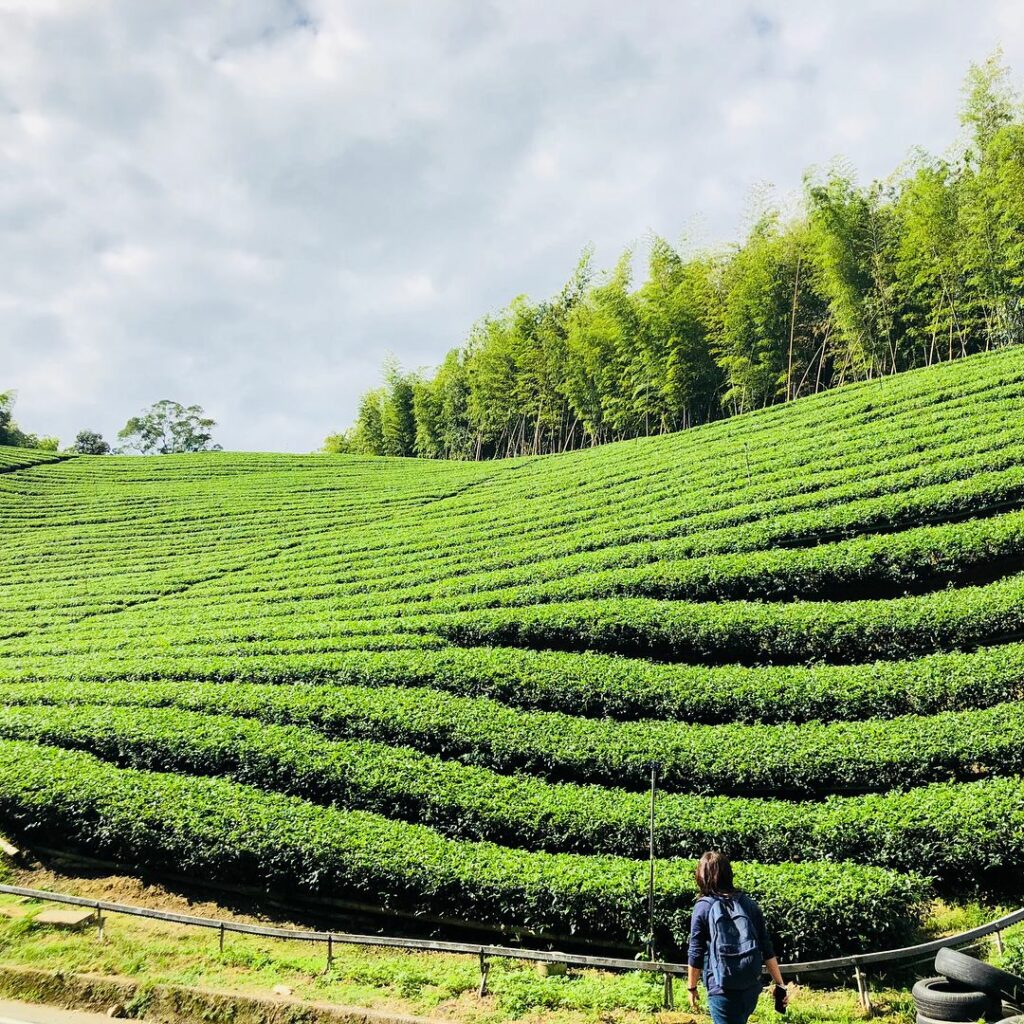 長源圳古道