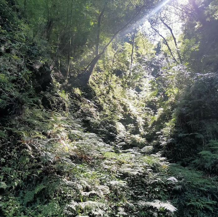 福巴越嶺古道