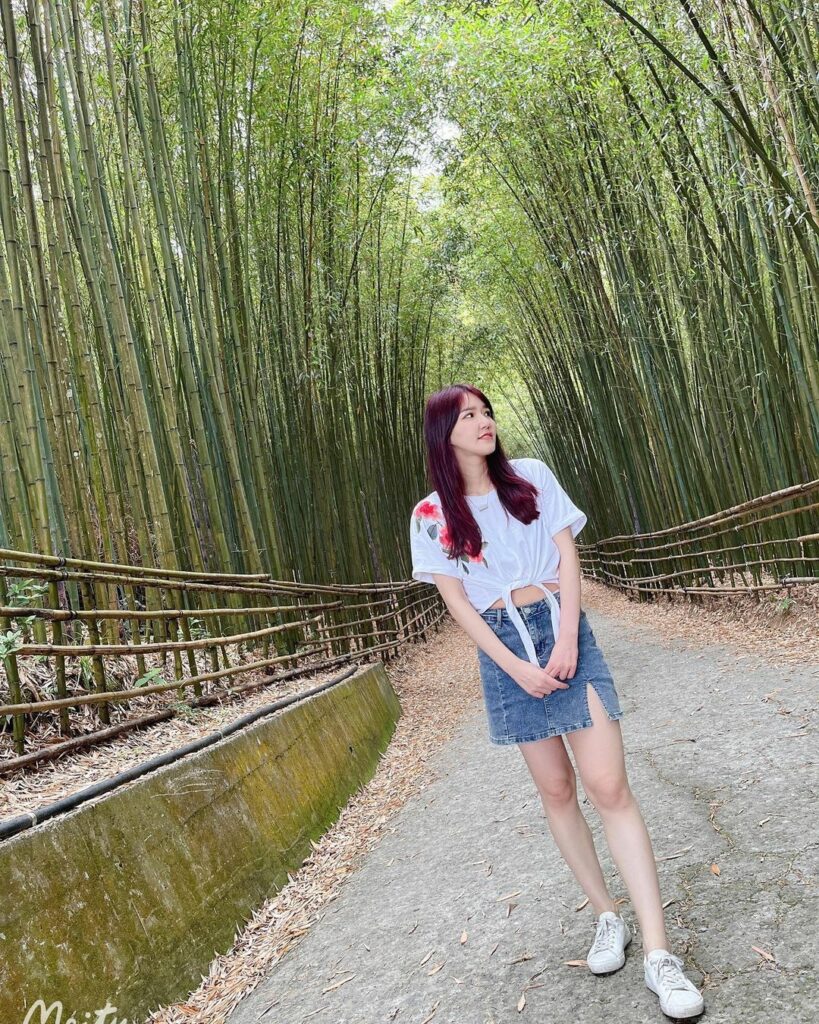 烏嘎彥竹林