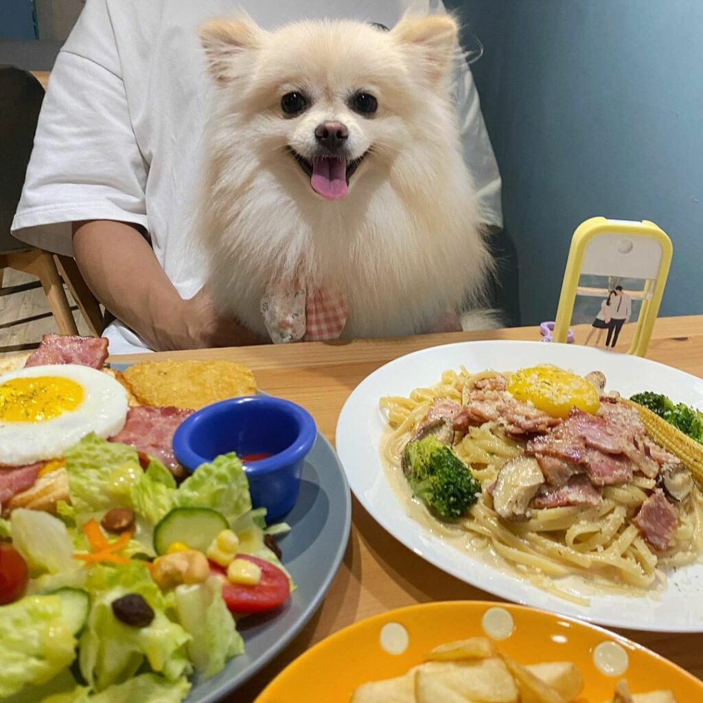 拖鞋咖啡 Slipper Cafe