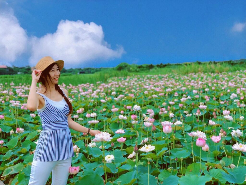 金山清水濕地