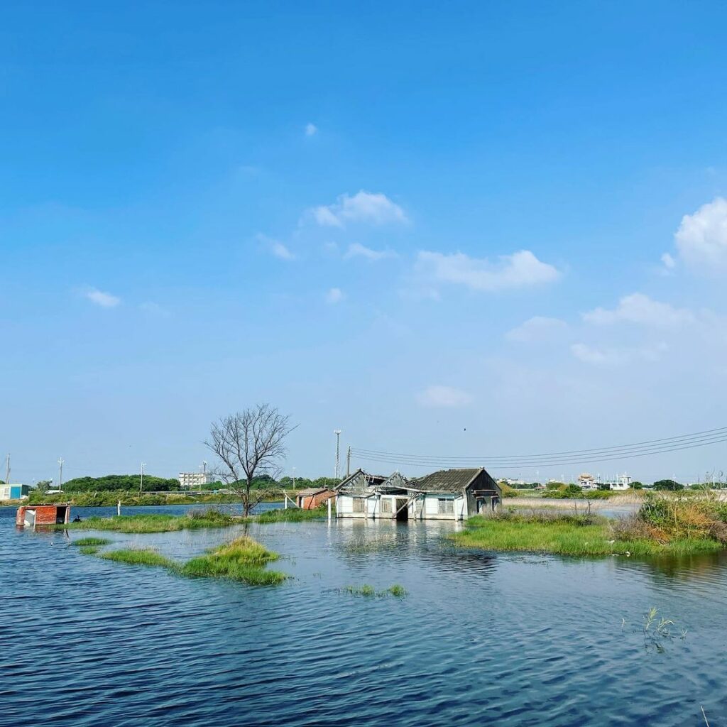 鰲鼓溼地