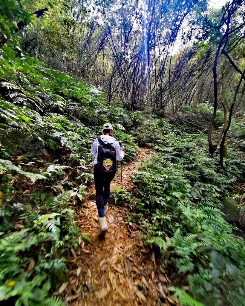 阿柔洋山