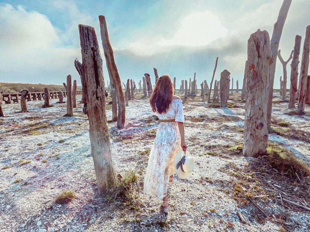 福寶濕地