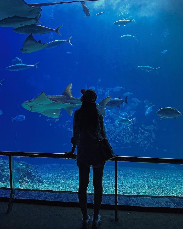 屏東海洋生物博物館
