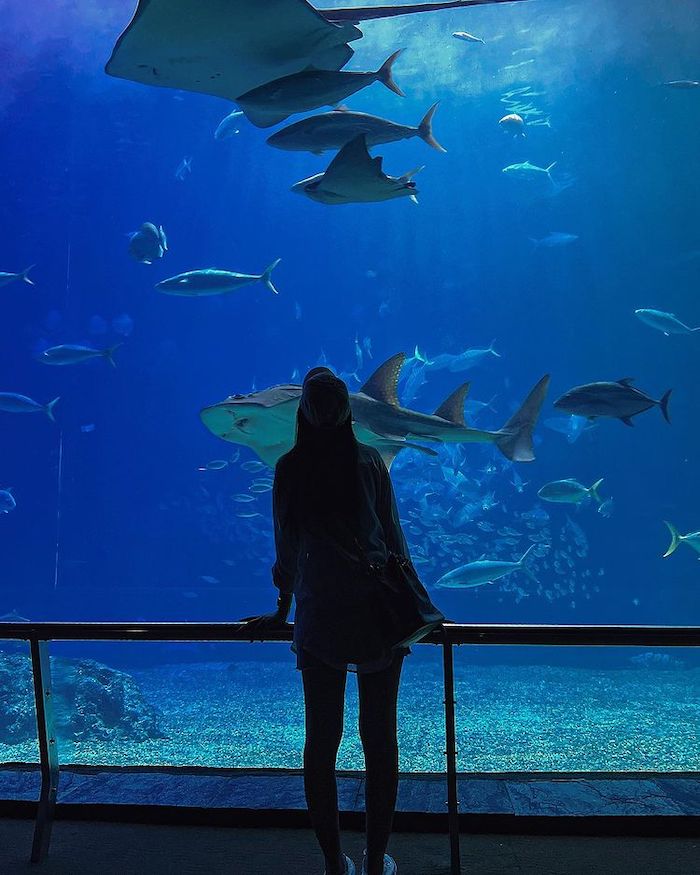 屏東海洋生物博物館
