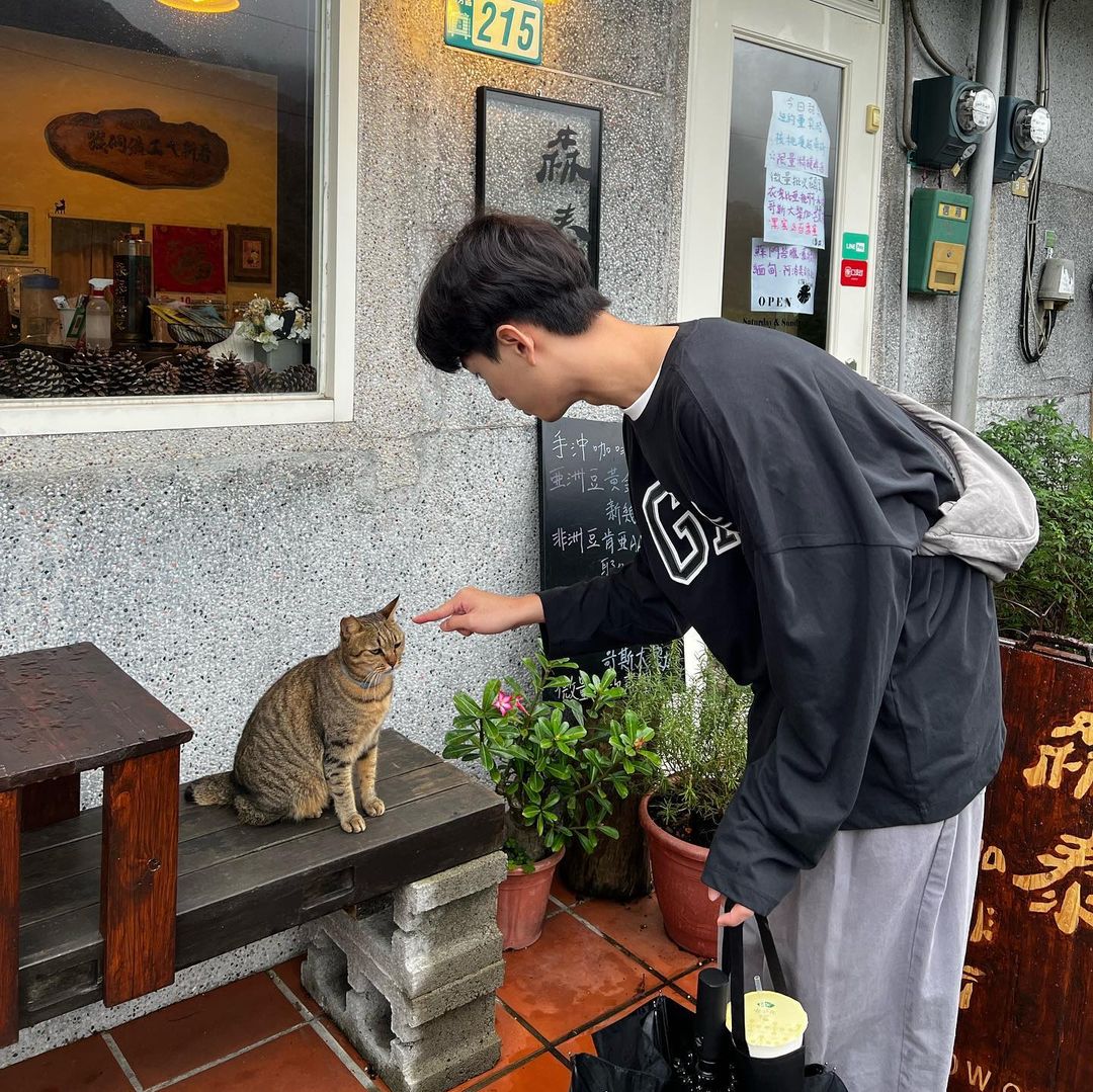 猴硐猫村