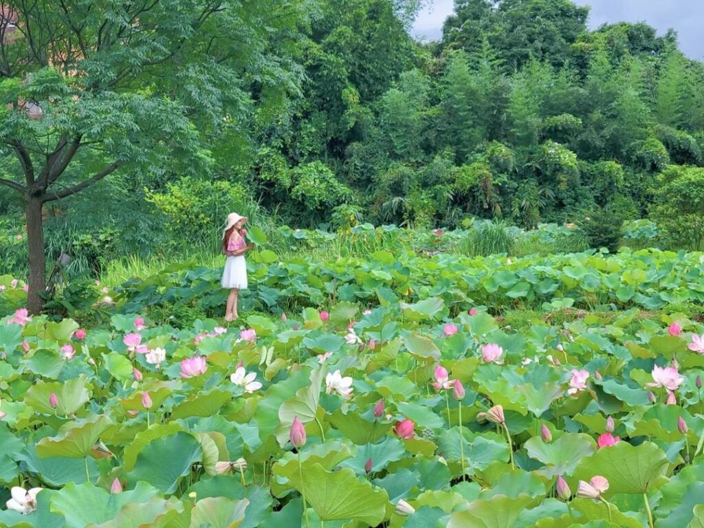 八連溪休閒步道