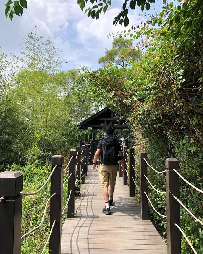 大坑風景區的步道分了三個等級