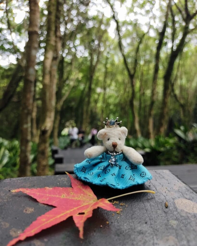 大屯自然公園