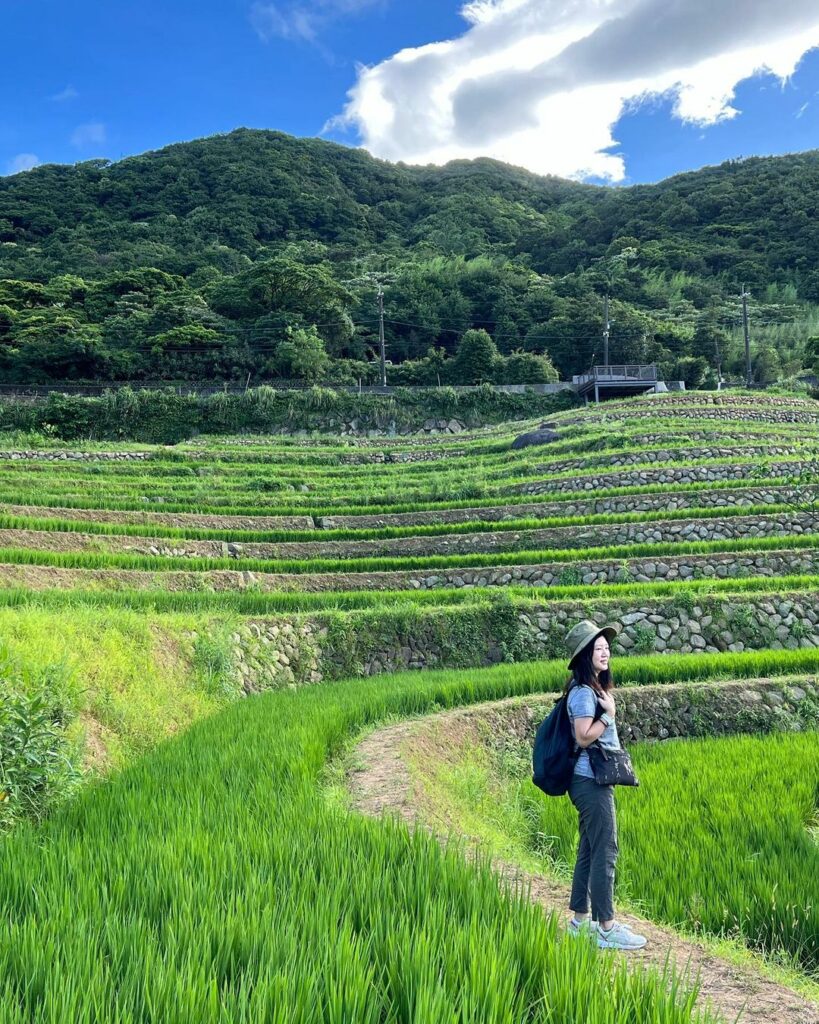 嵩山石砌梯田