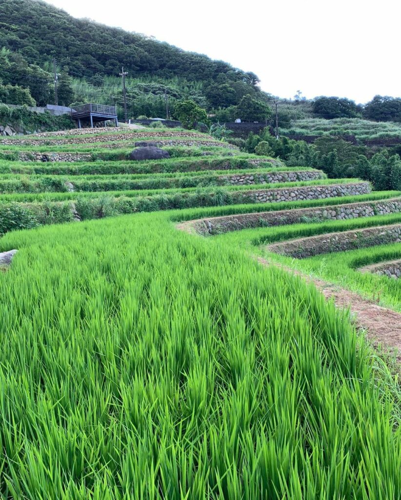 嵩山石砌梯田