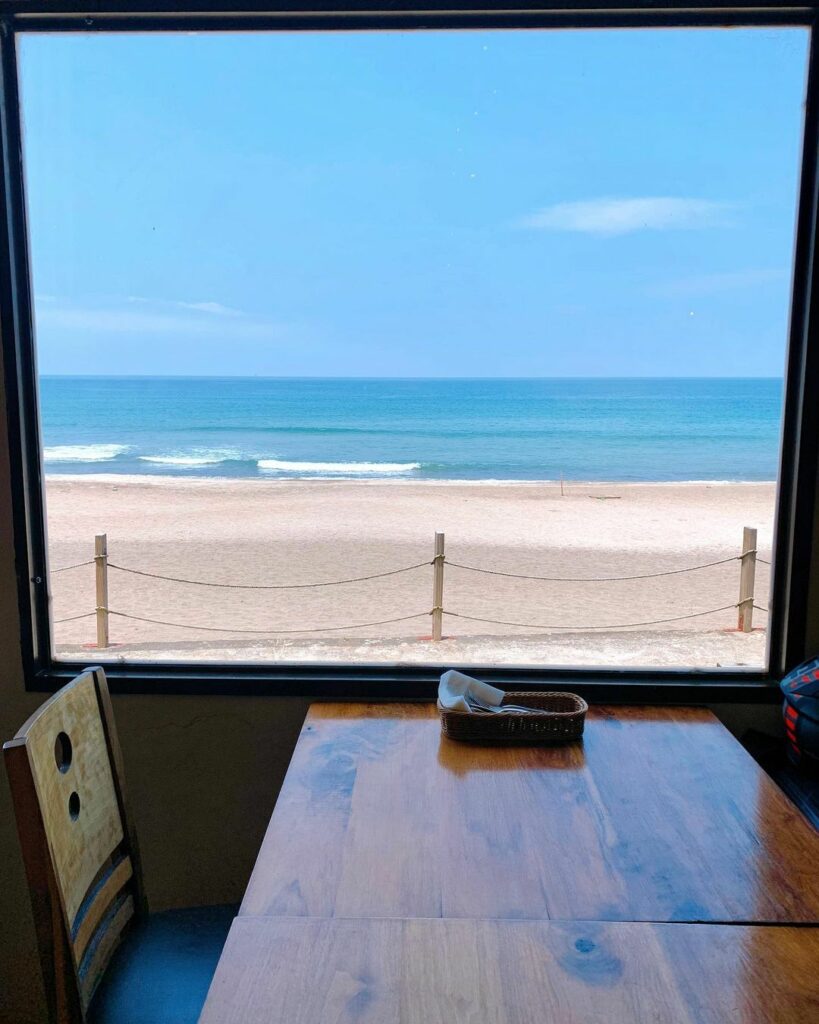 海灣綠洲