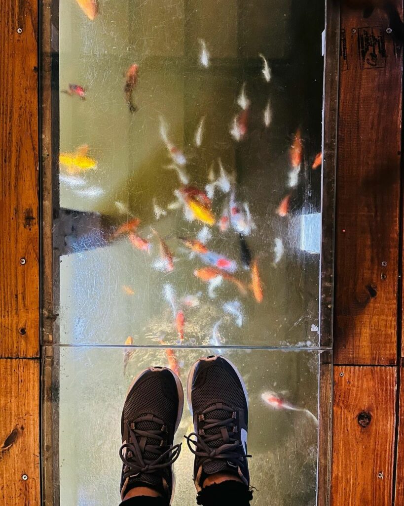魚罐頭咖啡館