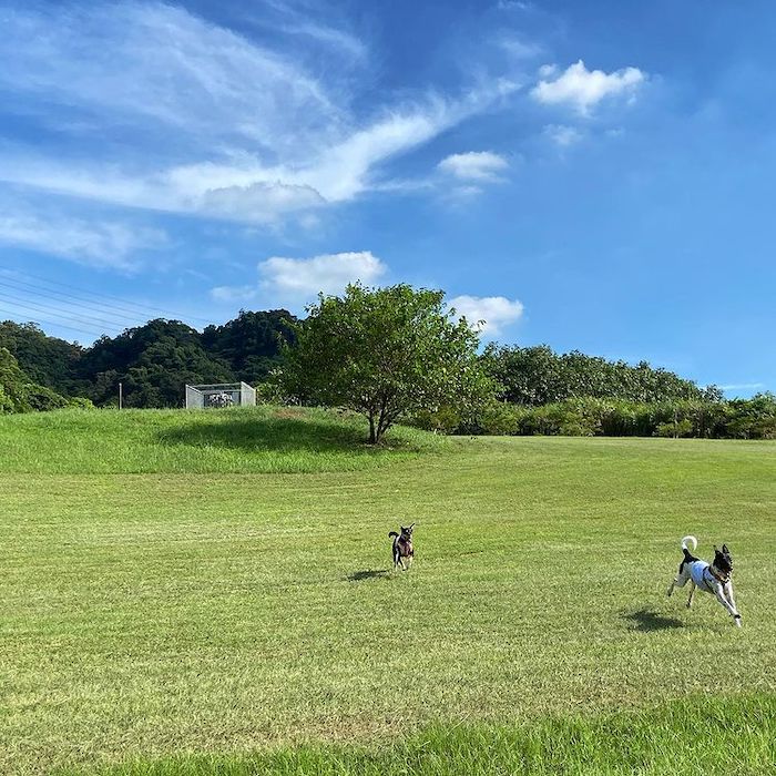 山水綠生態公園