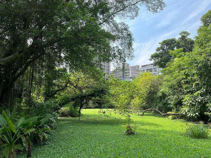 台北植物園