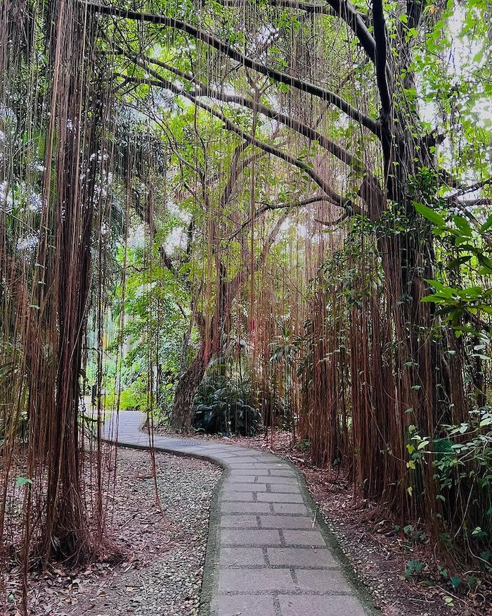台北植物園