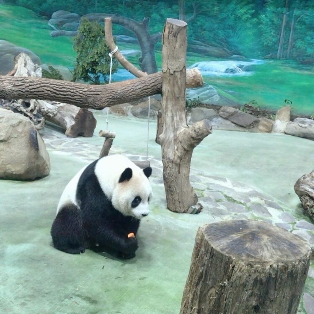 木柵動物園