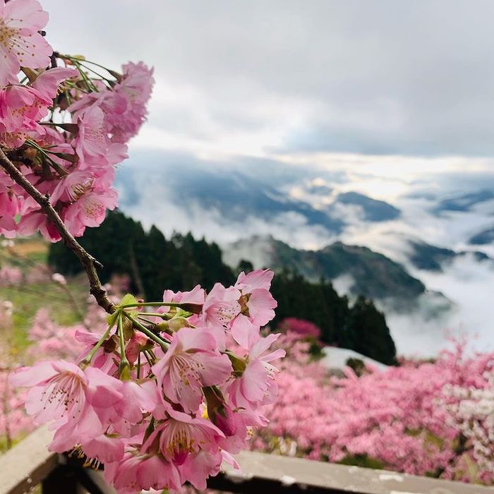 達觀山
