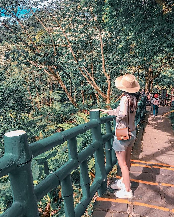 桐花公園