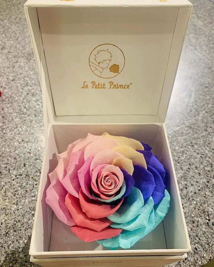 FLOWER FLOWER 花的