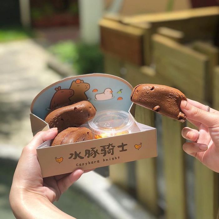 水豚騎士