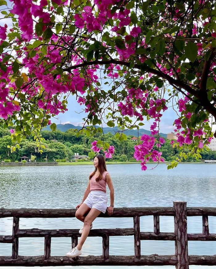 碧湖公園