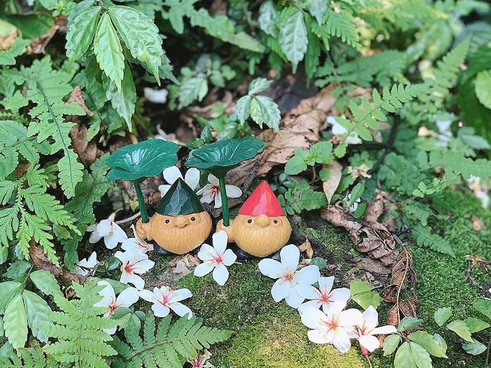 桐花公園