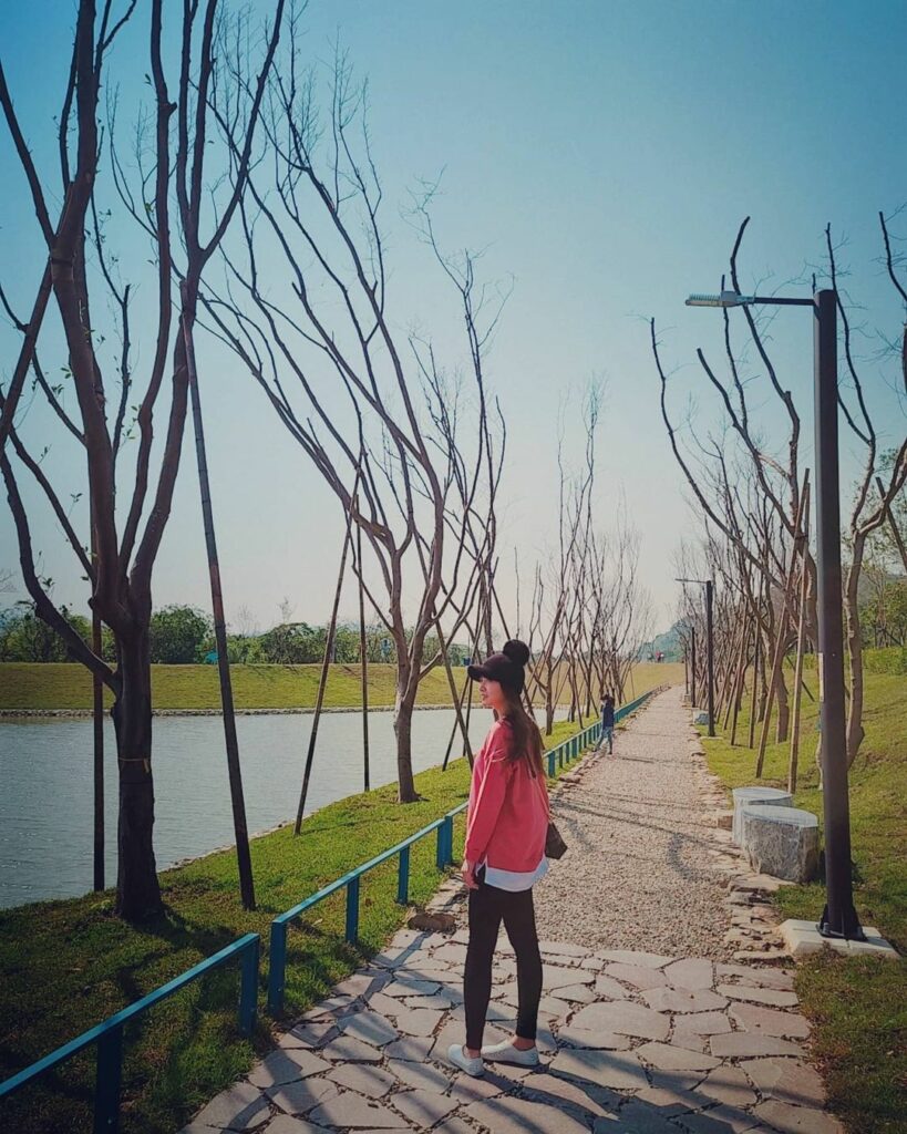 樹林環保河濱公園