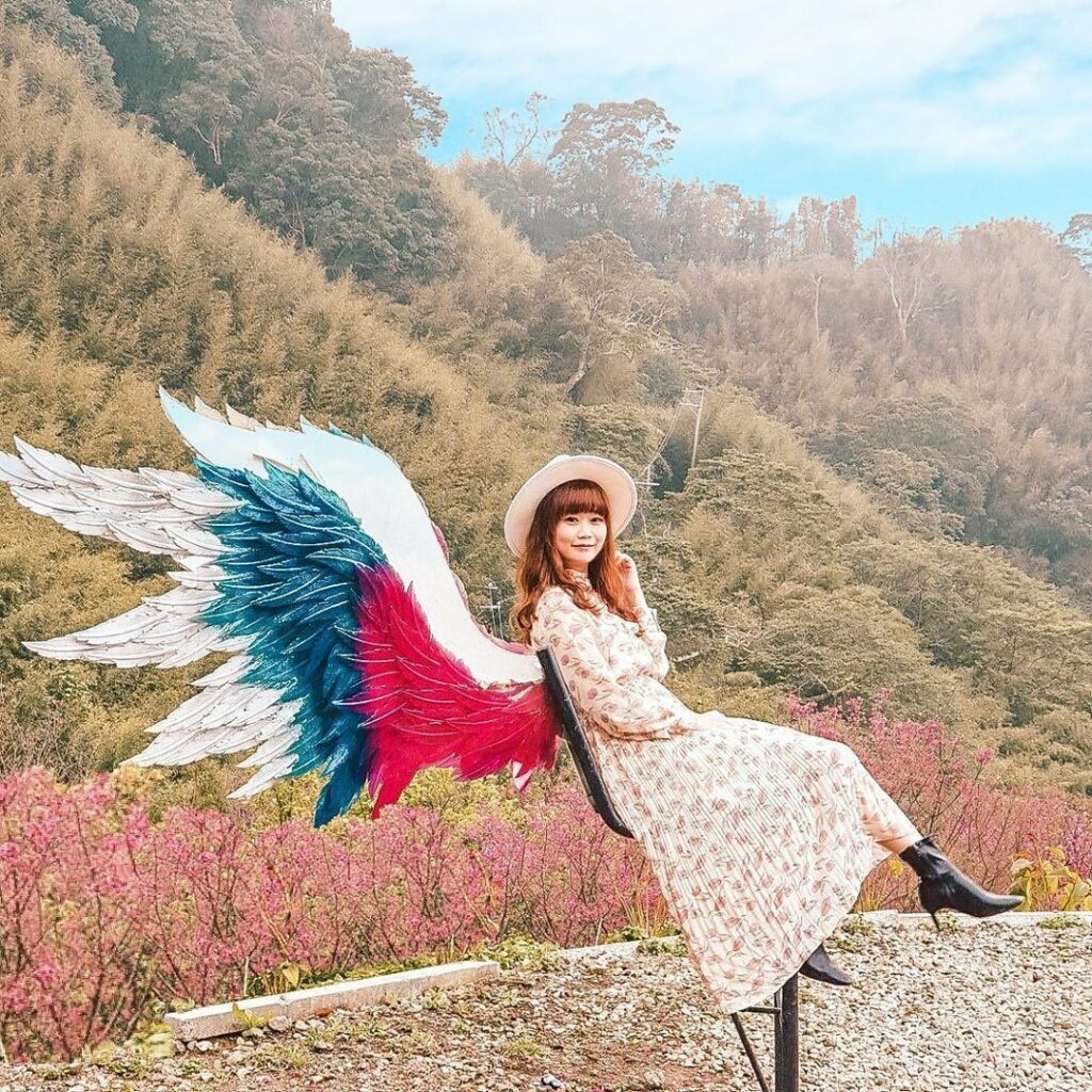 翠墨莊園