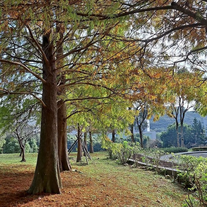 長庚養生文化村