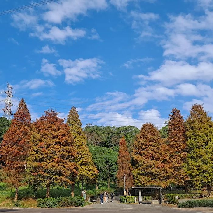 長庚養生文化村