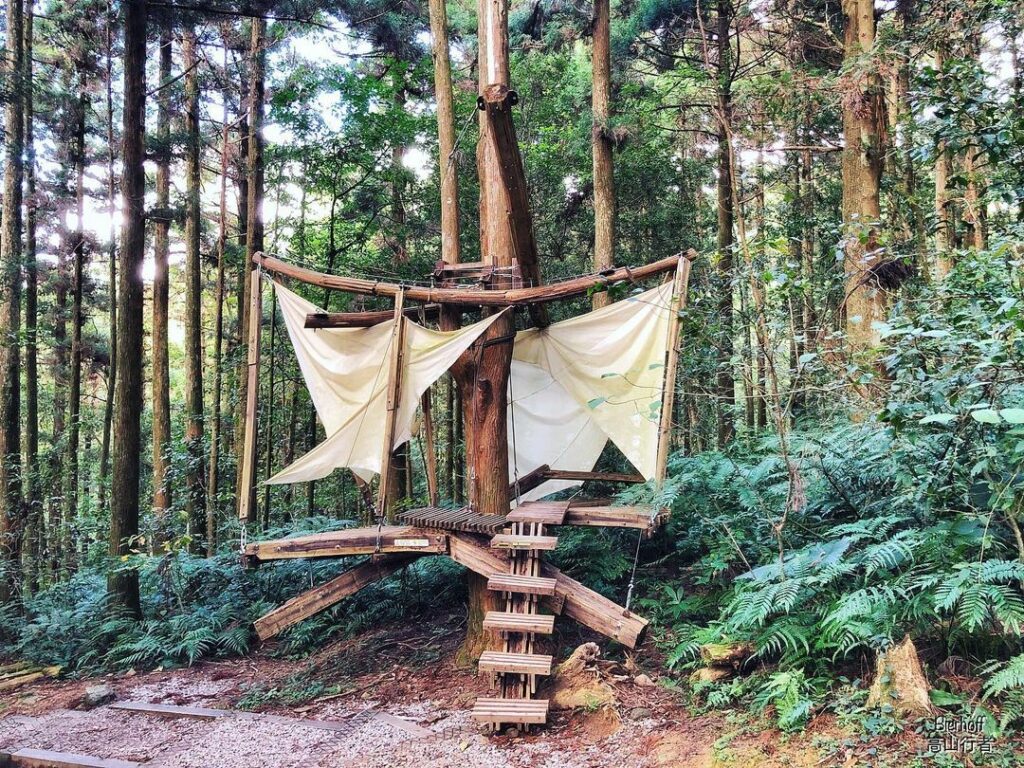 東眼山森林遊樂區