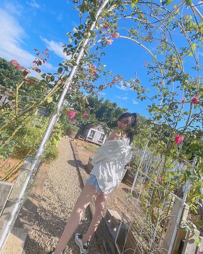 玫瑰山谷