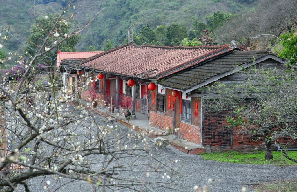 賴家古厝梅園