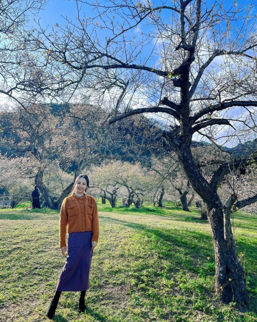 柳家梅園