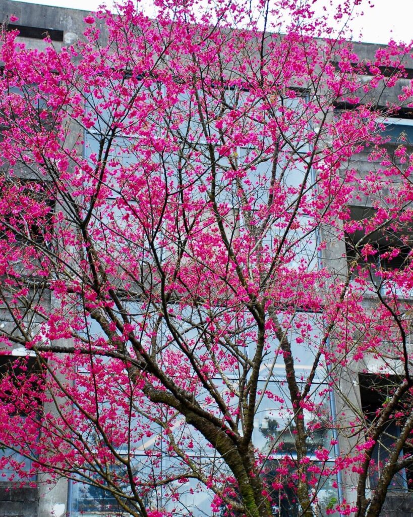 花卉試驗中心