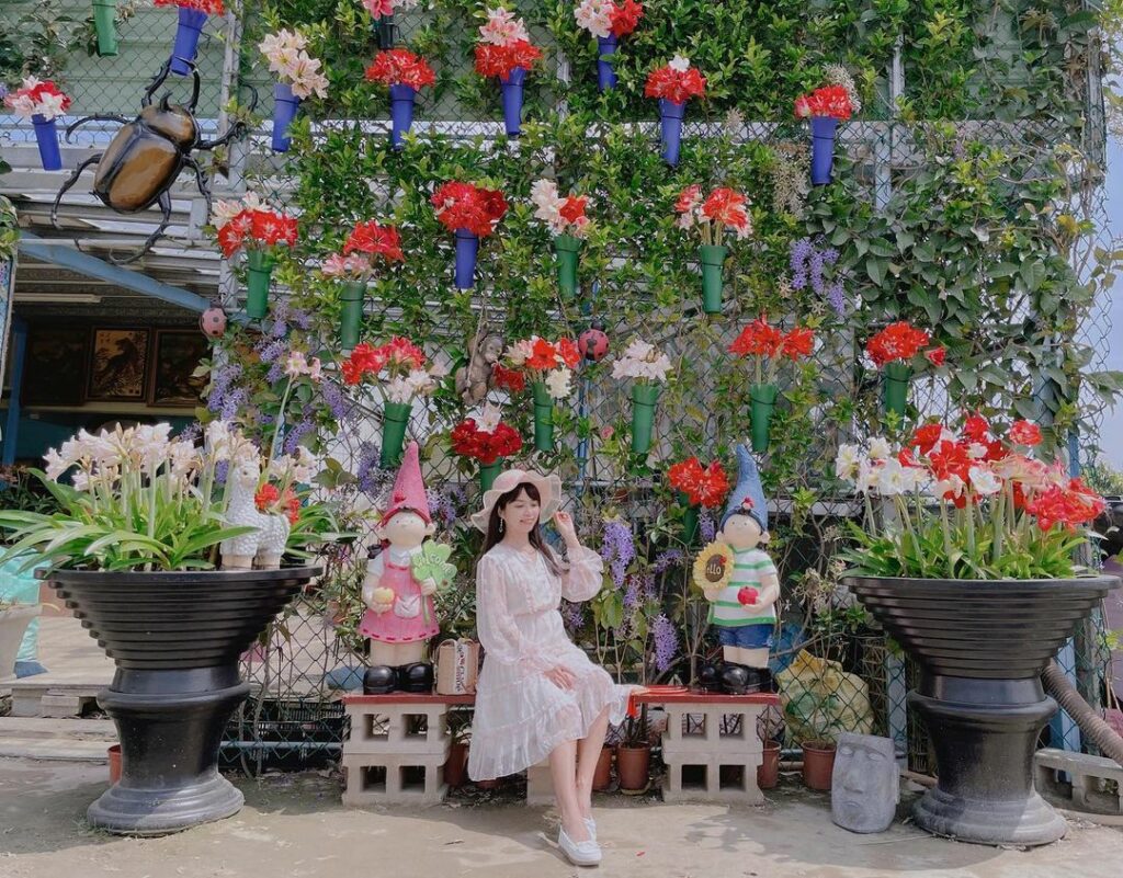 四湖長春園藝孤挺花園