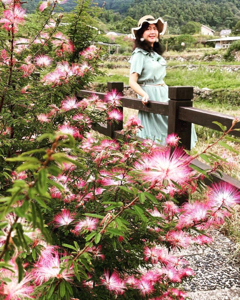 陽明山竹子湖