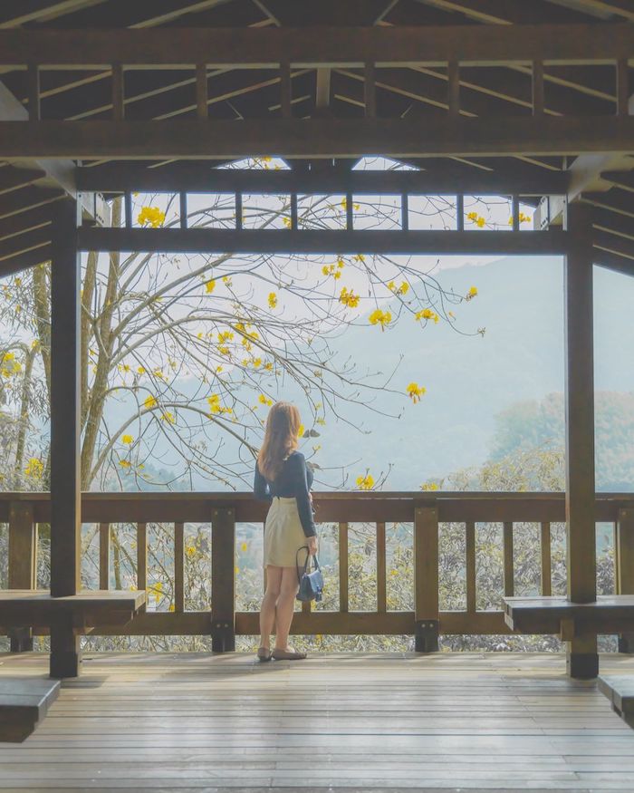 瑞里綠色隧道
